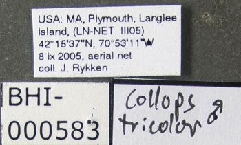 Media type: image;   Entomology 612667 Aspect: labels